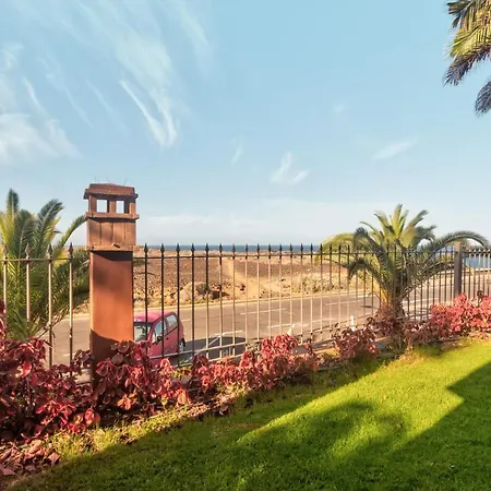 Alzaro 0 Palm-mar